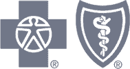 Insurance Logo Bcbs
